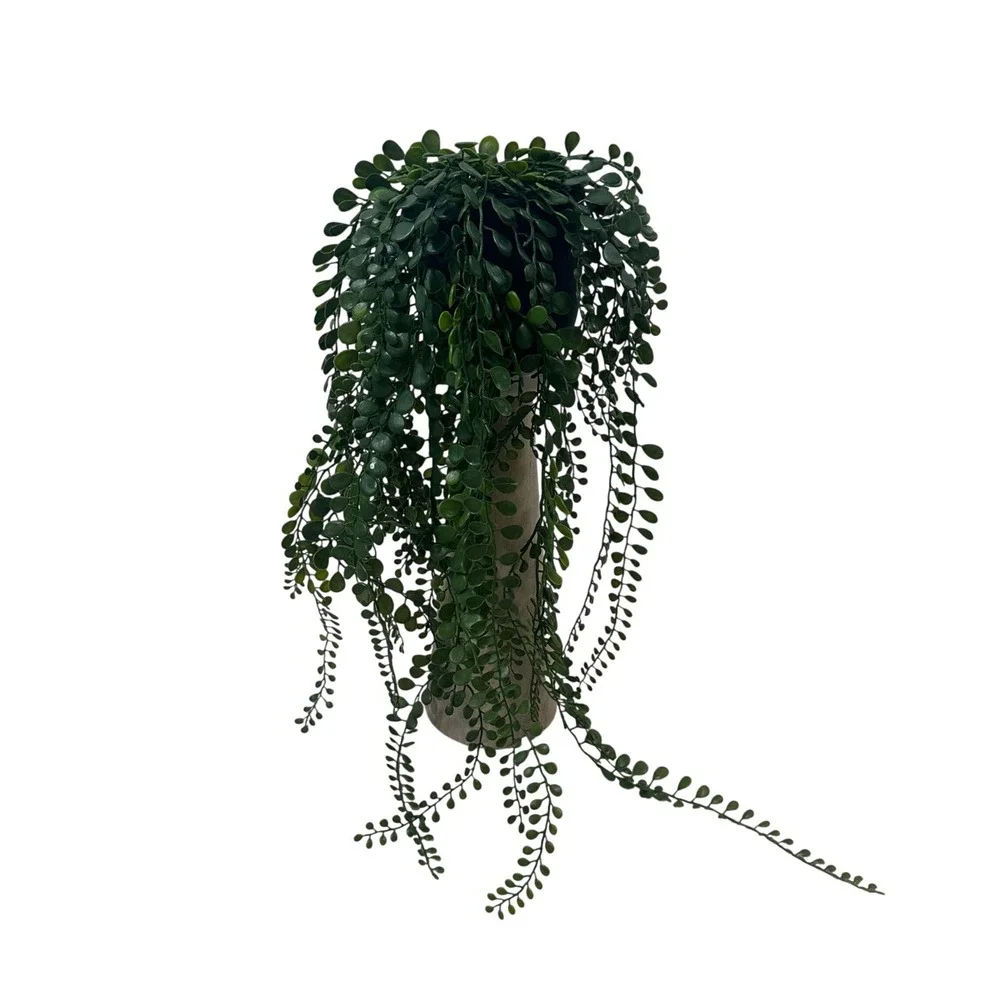 Artificial Trailing Succulent Plant in Black Matte Pot 30‎ Inch Green Faux Vine